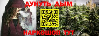сатива Севастополь