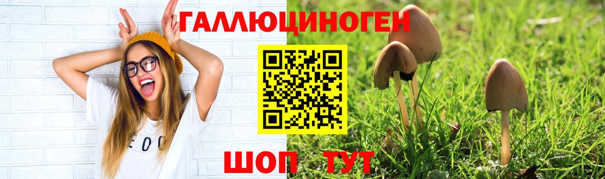 Псилоцибиновые грибы Psilocybe Нефтеюганск